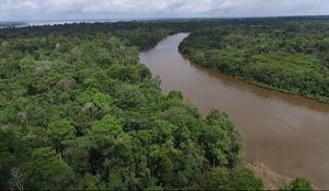 Dora Explores Latin America. Here is a river from Peruvian Amazon.