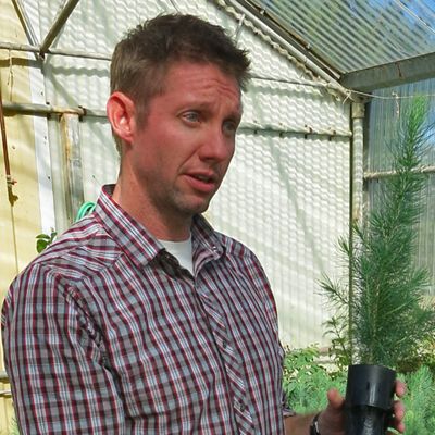 Man in plaid shirt gives lecture on trees