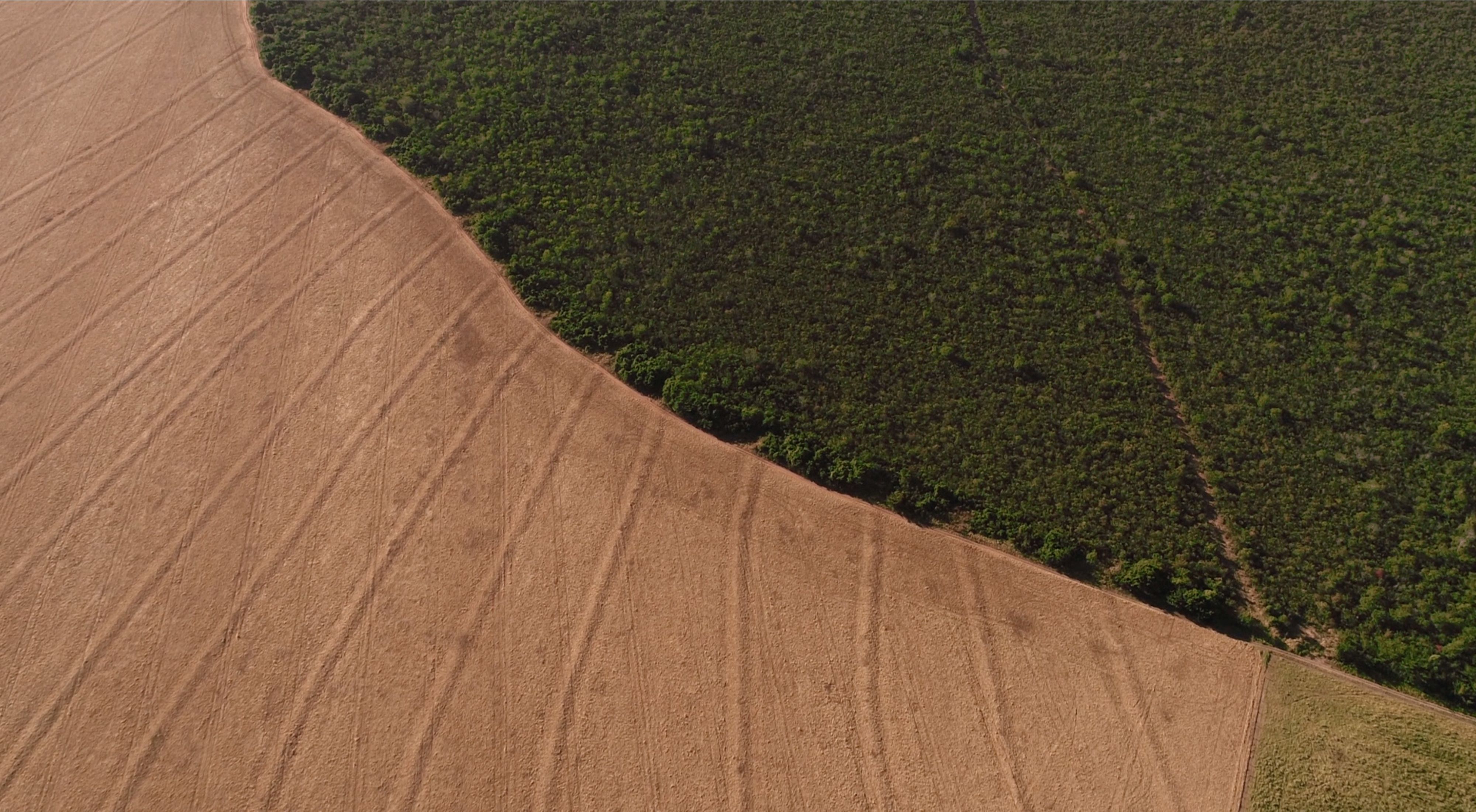 Soy fields in Itaituba, Pará, Brazil