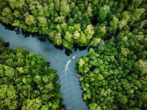 An aerial photograph features a boat on a river surrounded by trees.