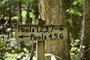 A wooden sign marks the way to seasonal vernal pools. Pools 1, 2, 3, 7 with an arrow pointing right is carved into the top of the sign. The bottom reads Pools 4, 5, 6 with an arrow to the left.