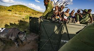 people in traditional Kenyan garb in a large truck releasing a rhino into a savannah.