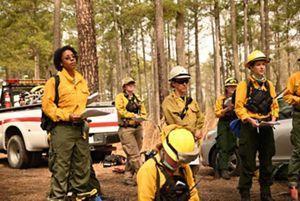 A group of women stand in a clearing of a pine forest during a fire briefing.