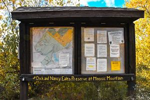 A wooden kiosk with a large map and several small papers sits in front of green growth.