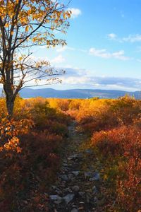 A cleared path with littered with stones disapears in the distance. Large mountain ranges are seen on the horizon.