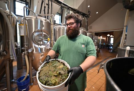 A man carries a bucket of leaves inside a brewery.