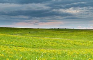 A colorful prairie landscape.
