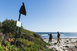 Two people stand on the beach with a camera trap in the foreground.