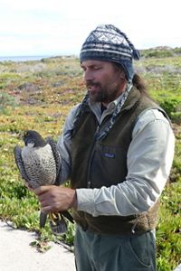 Scientist holding a bird in the field.