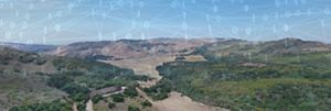Oak restoration field with binary numbers laid over the image.