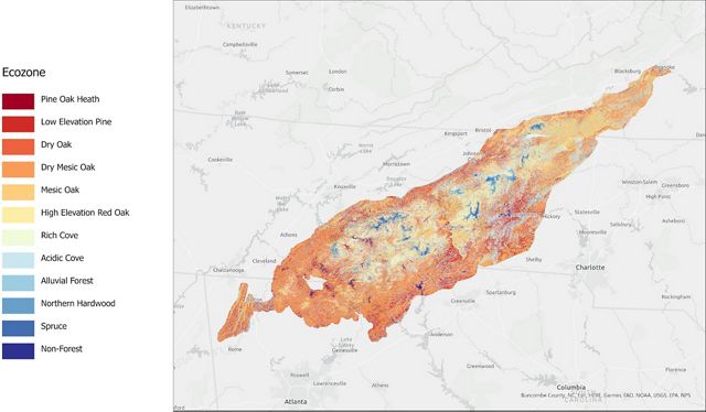 Various ecozones of the Southern Blue Ridge need fire at particular intervals.