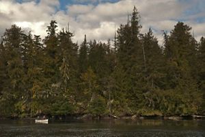 Two people in a canoe on a river surrounded by forest.