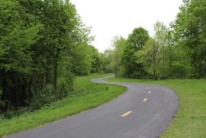 Paved bike trail winding through a wooded area of Elm Creek Park Reserve.