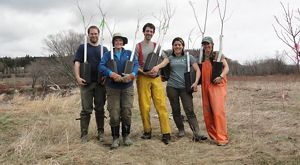 TNC staff with American elm seedlings.