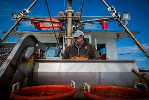 A fisherman on a New England commercial fishing vessel checks his nets as a fixed video camera records the work.