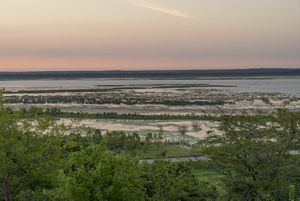 A pink sunrise over wetlands at Emiquon.