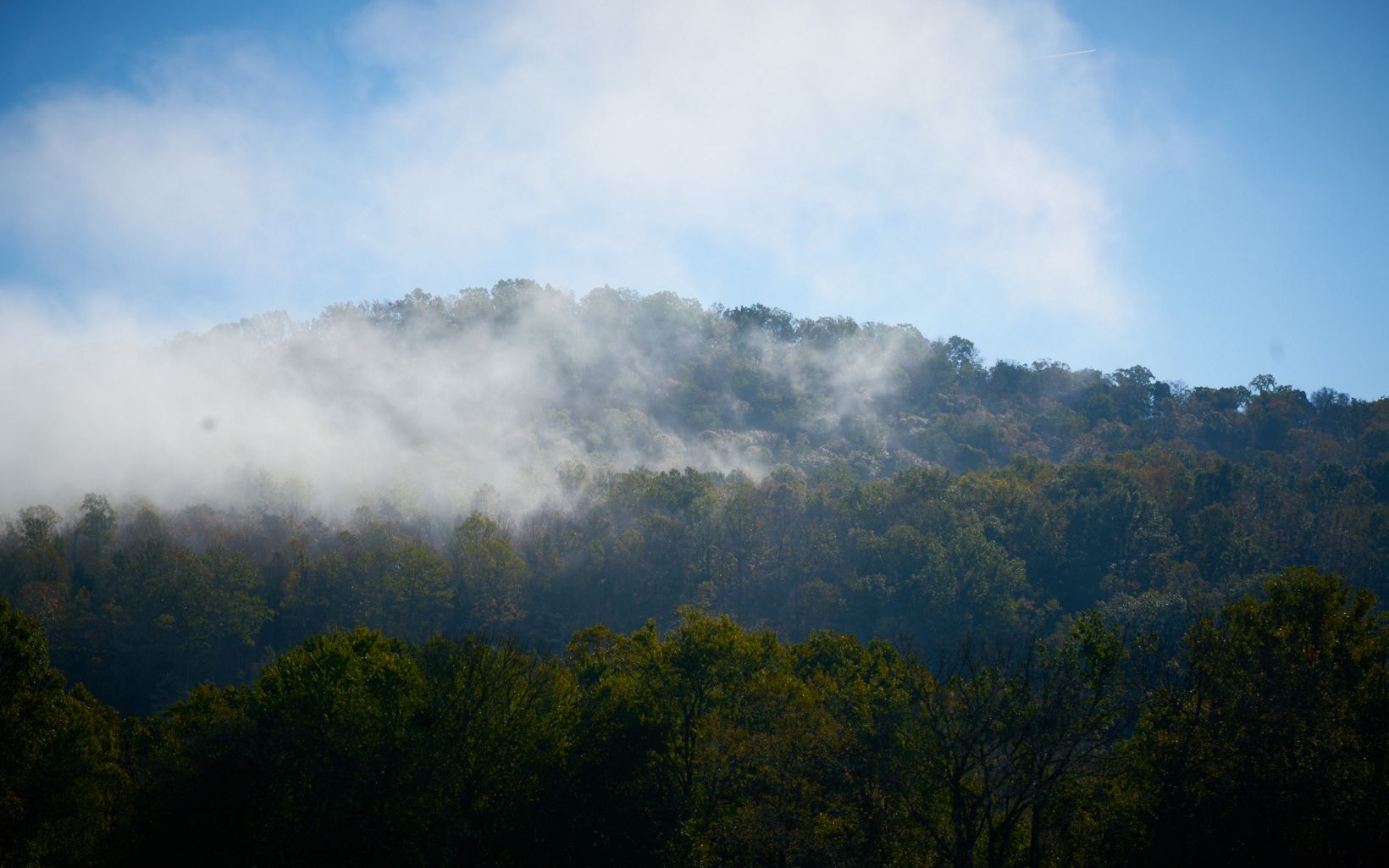 Mist over tree-covered hills.
