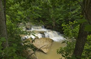 Waterfall as seen through the trees at the Helen C. Black Trail at Cedar Falls Preserve.