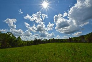 The sun shines bright over the E. Lucy Braun Lynx Prairie Preserve in summer.