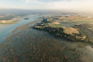 Aerial view of the Elkhorn Slough.