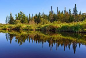 View across a pond with green trees on the shore and reflecting in the water.