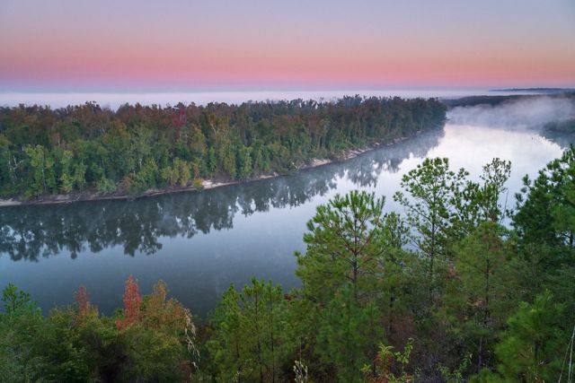 a forest with some fall color flanks a river in the early morning light.