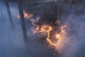 Aerial image of man at twilight setting prescribed fire. 