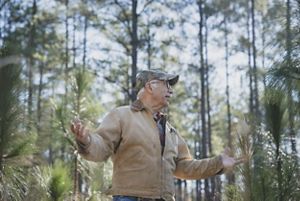 Person weating a tan jacket stands in a grove of trees.