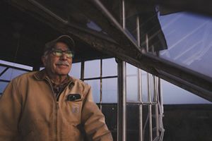 Person looks out over land at sunset. 