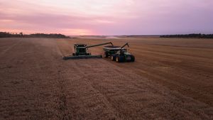 Tractor in a field.