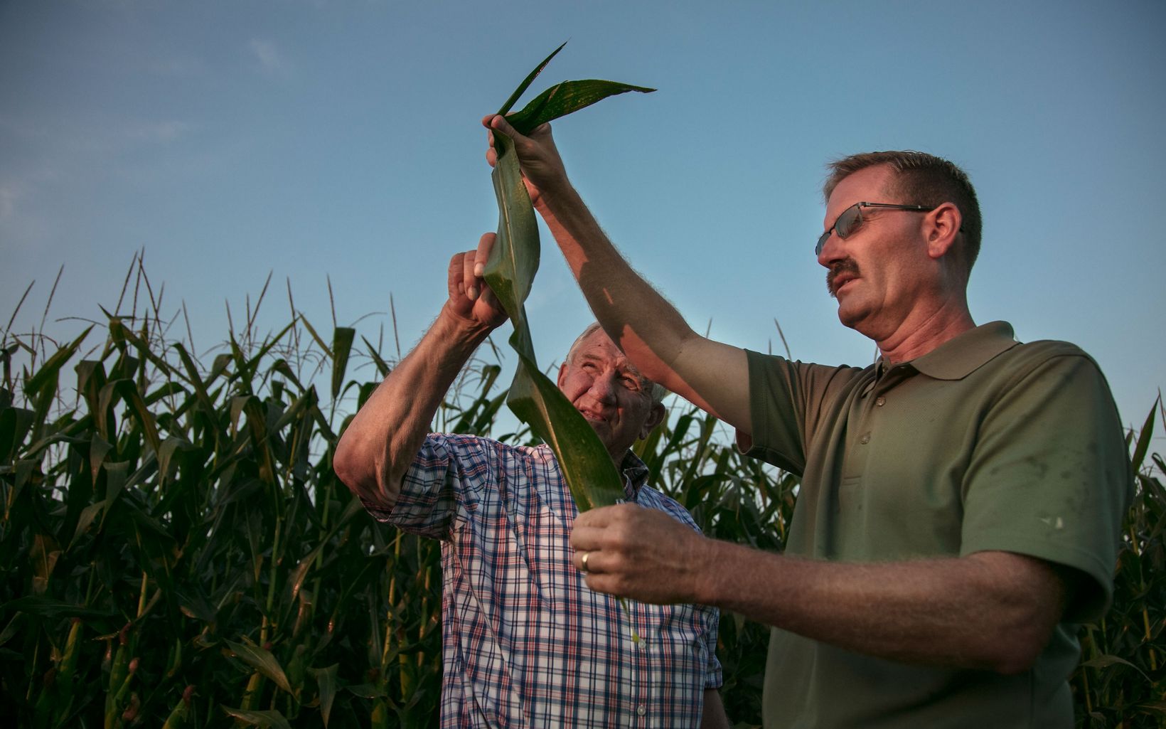 
                
                  Farming, Ohio Practices like nutrient management and cover cropping help farmlands store more carbon and reduce runoff into rivers.
                  © Ariana Lindquist
                
              