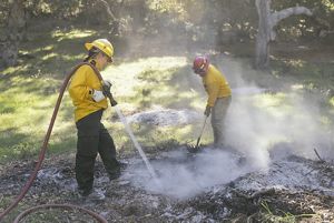Prescribed Fire Training Exchange