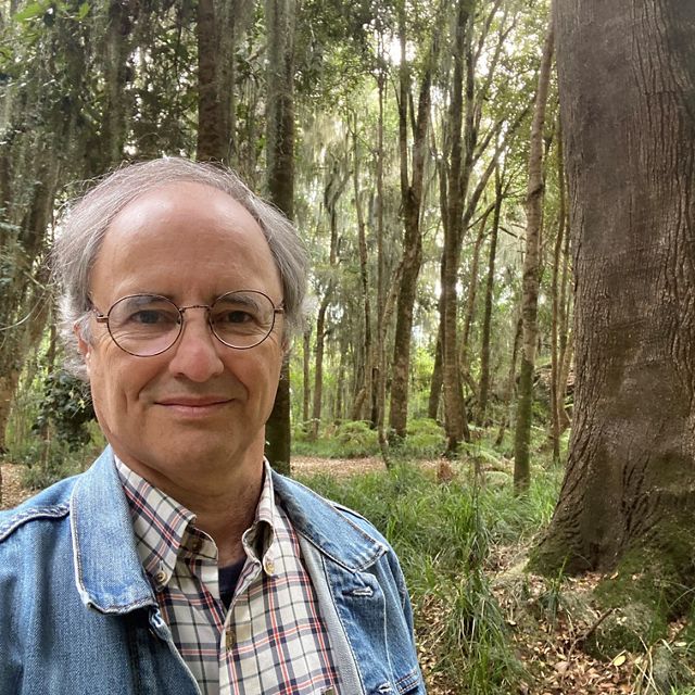 A man in a forest of towering trees