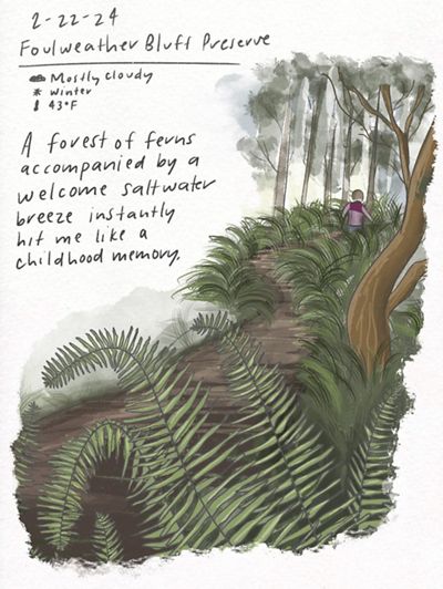 Illustration showing a person walking through a forest filled with ferns.