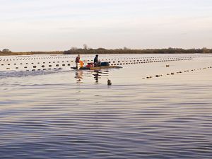 Shellfish growers in a boat on the water, at sunset.