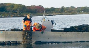 Workers at Fishers Island Oyster Farm examining oyster cages.