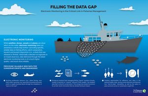 Infographic on how electronic monitoring is the critical link in fisheries management. 