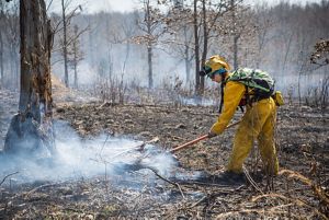 A fire fighter administers a controlled burn in Kentucky.