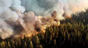A line of wildfire burns in an Idaho forest, with smoke in the upper part of the photo and forest in the bottom part.