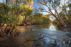 A river flowing through a marsh.