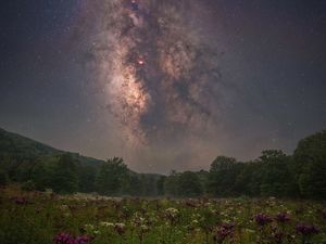 Composite photo showing a column of gas and stars in the night sky over an open field of purple flowers.