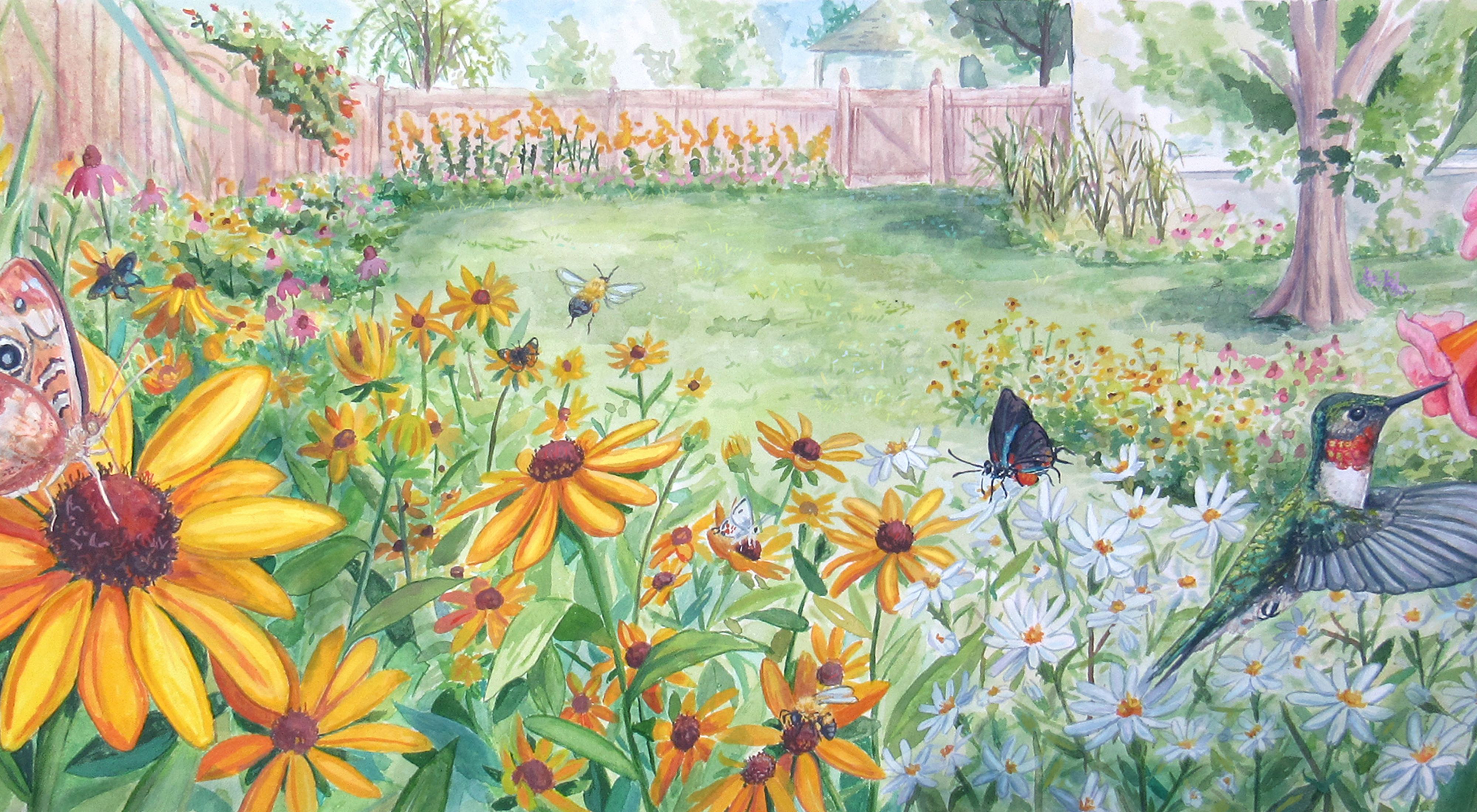 Watercolor illustration showing a backyard garden of native plants. A brown butterfly sits on a yellow flower in the left foreground. A ruby-throated hummingbird hovers next to a flower on the right.