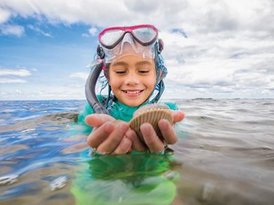 Child holds shells in hand while standing in the ocean waters.