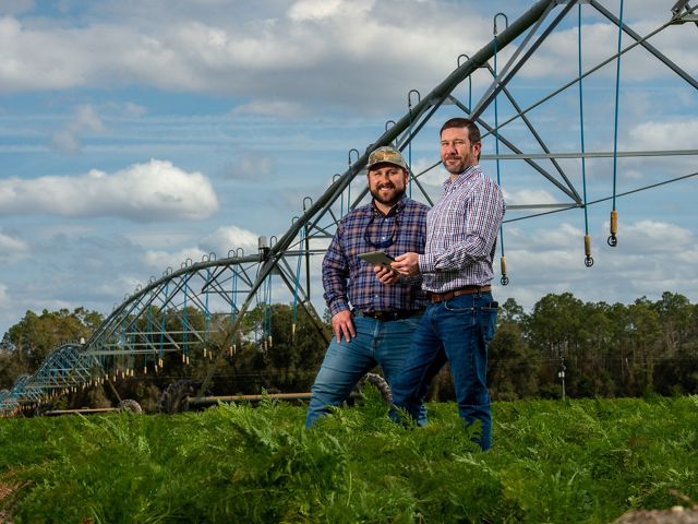 Two Florida farmers in a field of greens next to an irrigation machine.