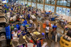 an aerial view of a busy indoor fish market