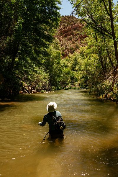 Fly fisherman in the Verde River