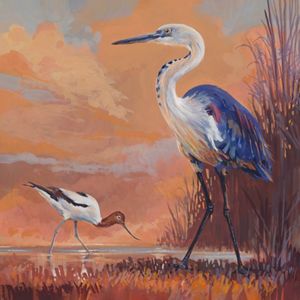 red-necked avocet and white-necked heron.