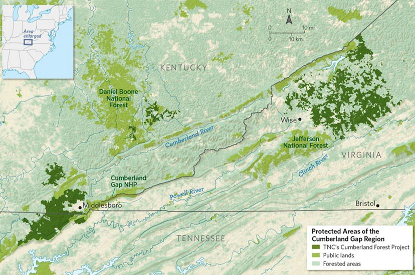 Mapa del proyecto del Bosque Cumberland