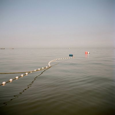 a rope with buoys on it floats on still gray water into the distance