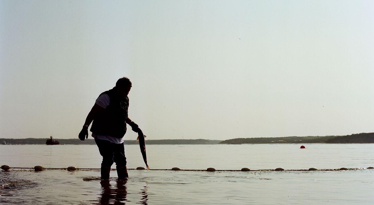 woman wades in water with fish in hand, silhouetted against a body of water with ships and buoys in distance